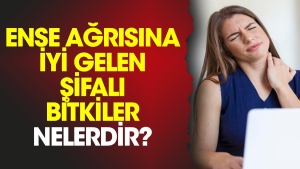 ense-agrisina-l-gelen-sifali-bitkiler-nelerdir-SxMgWqyV.jpg