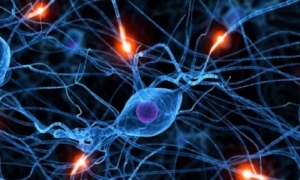 epilepsi-nedir-J1lWirVk.jpg