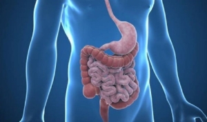 ercp-nedir-StDg7r4I.jpg