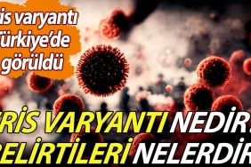 eris-varyanti-turkiyede-goruldu-eris-varyanti-nedir-belirtileri-nelerdir-L7W5Fhi3.jpg