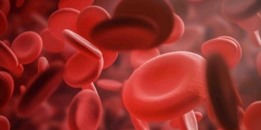 eritrosit-rbc-dusuklugu-nedir-eritrosit-rbc-dusuklugu-neden-olur-JNQtw6Yl.jpg