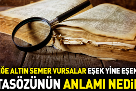esege-altin-semer-vursalar-esek-yeniden-esektir-atasozunun-manasi-nedir-T12m37cc.jpg