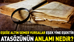 esege-altin-semer-vursalar-esek-yeniden-esektir-atasozunun-manasi-nedir-T12m37cc.jpg