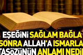 esegini-saglam-bagla-sonra-allaha-ismarla-atasozunun-manasi-nedir-FCLBgO4O.jpg