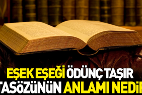 esek-esegi-odunc-tasir-atasozunun-manasi-nedir-ng39uc1f.jpg