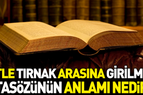 etle-tirnak-ortasina-girilmez-atasozunun-manasi-nedir-74jKAaBX.jpg