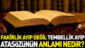 fakirlik-ayip-degil-tembellik-ayip-atasozunun-manasi-nedir-tDUU18nv.jpg