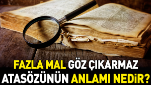 fazla-mal-goz-cikarmaz-atasozunun-manasi-nedir-ZzfrHlGG.jpg