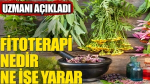 fitoterapi-nedir-7MQTY841.jpg