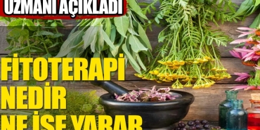 fitoterapi-nedir-7MQTY841.jpg