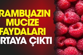 frambuazin-mucize-yararlari-ortaya-cikti-HWbxayDz.jpg