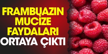 frambuazin-mucize-yararlari-ortaya-cikti-HWbxayDz.jpg