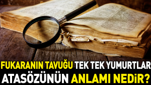 fukaranin-tavugu-tek-tek-yumurtlar-atasozunun-manasi-nedir-BbG7GhIN.jpg