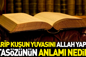 garip-kusun-yuvasini-allah-yapar-atasozunun-manasi-nedir-2THbx2Ly.jpg
