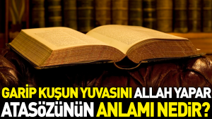 garip-kusun-yuvasini-allah-yapar-atasozunun-manasi-nedir-2THbx2Ly.jpg