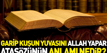 garip-kusun-yuvasini-allah-yapar-atasozunun-manasi-nedir-2THbx2Ly.jpg