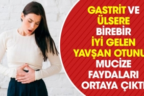 gastrit-ve-ulsere-birebir-duzgun-gelen-yavsan-otunun-mucize-yararlari-ortaya-cikti-3QVun3Ea.jpg