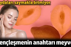 genclesmenin-anahtari-meyve-yararlari-saymakla-bitmiyor-WwE7yFhq.jpg