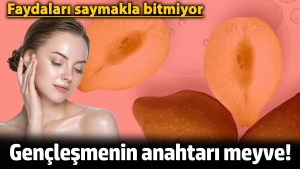 genclesmenin-anahtari-meyve-yararlari-saymakla-bitmiyor-WwE7yFhq.jpg