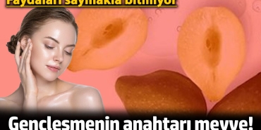 genclesmenin-anahtari-meyve-yararlari-saymakla-bitmiyor-WwE7yFhq.jpg