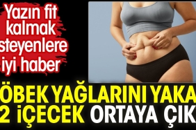 gobek-yaglarini-yakan-12-icecek-ortaya-cikti-yazin-fit-kalmak-isteyenlere-yeterli-haber-KxQv3SV1.jpg