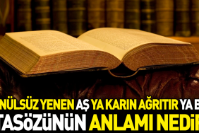 gonulsuz-yenen-as-ya-karin-agritir-ya-bas-atasozunun-manasi-nedir-uEuEMEuW.jpg