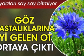 goz-hastaliklarina-yeterli-gelen-ot-ortaya-cikti-yararlari-say-say-bitmiyor-HiuhfvmV.jpg
