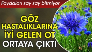 goz-hastaliklarina-yeterli-gelen-ot-ortaya-cikti-yararlari-say-say-bitmiyor-HiuhfvmV.jpg