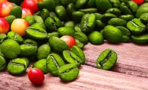 gozetici-yesiller-yesilcay-yesil-kahve-JfMOkEhr.jpg