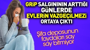 grip-salgininin-arttigi-su-gunlerde-konutlarin-vazgecilmezi-ortaya-cikti-sifa-deposunun-yararlari-say-say-bAjwd2Sh.jpg