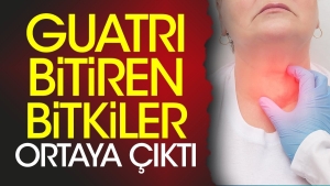 guatri-bitiren-bitkiler-ortaya-cikti-qnwqdY5r.jpg