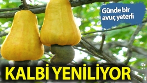 gunde-bir-avucu-kalbi-guclendiriyor-qALKvvzi.jpg