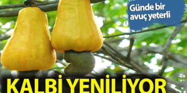 gunde-bir-avucu-kalbi-guclendiriyor-qALKvvzi.jpg