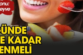 gunde-ne-kadar-meyve-yenilirse-guzel-olur-GEkGX3rH.jpg