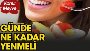 gunde-ne-kadar-meyve-yenilirse-guzel-olur-GEkGX3rH.jpg