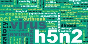 h5n2-nedir-nasil-bulasir-dso-uyardi-iste-kus-gribi-virusu-h5n2-belirtileri-AWKZ5Czu.jpg