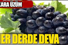 hangi-cins-uzum-her-sikintiya-deva-a6m6mmwg.jpg