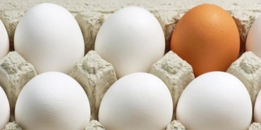 hangisi-daha-yararli-beyaz-ve-kahverengi-yumurta-ortasindaki-farklar-SmC9FUGb.jpg