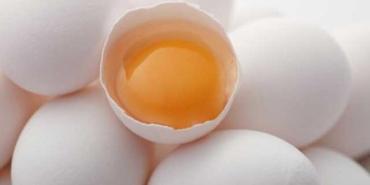hangisi-daha-yararli-yumurtanin-beyazi-mi-yoksa-sarisi-mi-GaVfWYze.jpg