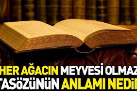 her-agacin-meyvesi-olmaz-atasozunun-manasi-nedir-bBsakxVg.jpg