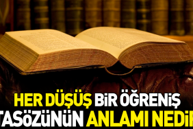 her-dusus-bir-ogrenis-atasozunun-manasi-nedir-CRNhlRCe.jpg