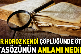 her-horoz-kendi-coplugunde-oter-atasozunun-manasi-nedir-YRenx7YK.jpg