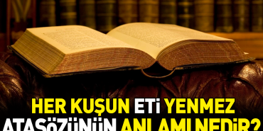 her-kusun-eti-yenmez-atasozunun-manasi-nedir-rp2DkdqI.jpg