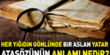 her-yigidin-gonlunde-bir-aslan-yatar-atasozunun-manasi-nedir-xFwwvGQR.jpg