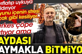 herkes-cope-atiyor-fakat-bu-bitkinin-yarari-saymakla-bitmiyor-BNqKrfBq.jpg