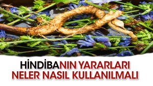 hindibanin-cok-az-bilinen-faydalari-Zn6qwewm.jpg