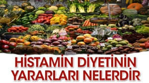 histamin-diyeti-nasil-yapilir-eHNhGE62.jpg