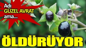 hos-avrat-otu-oldurebilir-VWKHY1AJ.jpg