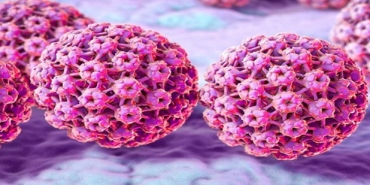 hpv-genital-sigiller-ve-rahim-agzi-kanseri-FkKAUNHj.jpg