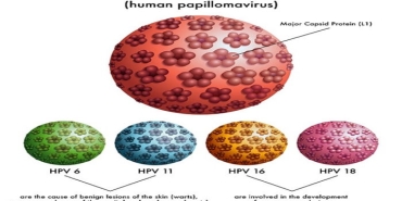 hpv-nedir-zO5wa3Dq.jpg